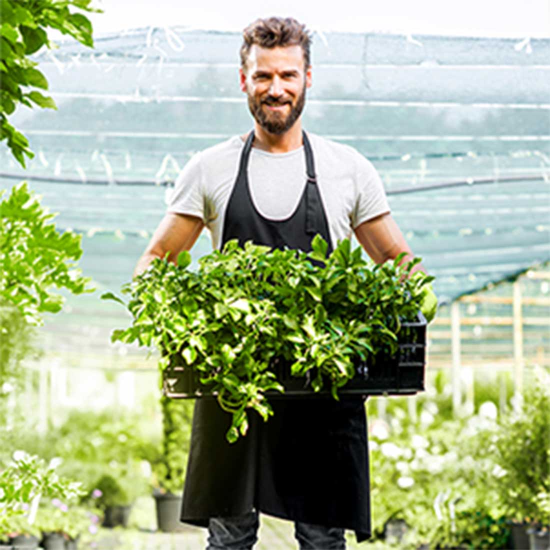 Mann im Garten mit Kiste Grünzeug