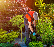 Gartenarbeit im Garten von Elezi Gartenbau