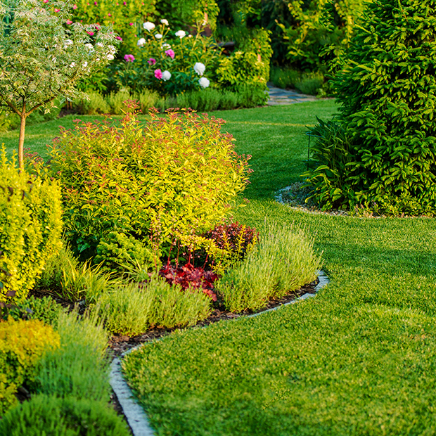 Schöner grüner Garten