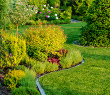 Schöner Garten im Sommer